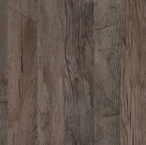 Grey Saloon Oak