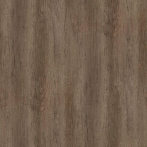 Nebraska Oak